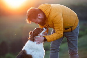pet in rehab